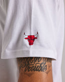 Nike Chicago Bulls Statement Tee