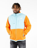 The North Face Denali 2 Jacket