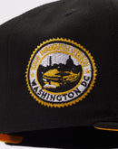 New Era Washington Nationals 9Fifty Snapback Hat