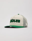 New Era Philadelphia Eagles 9Fifty A-Frame Trucker Hat