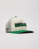 New Era Philadelphia Eagles 9Fifty A-Frame Trucker Hat