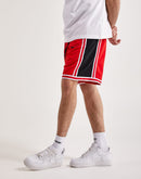 Nike Dri-FIT DNA+ Basketball Shorts