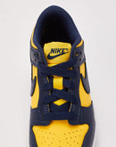 Nike Dunk Low Pre-School
