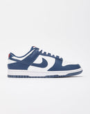 Nike Dunk Low Retro 'Valerian Blue'