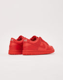 Nike Dunk Low Grade-School
