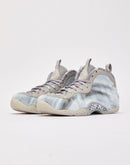 Nike Air Foamposite One 'Tech Grey’