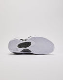 Nike Air Zoom Flight 95