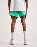 Nike Woven Lined Flow Shorts
