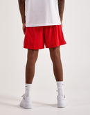Nike Chicago Bulls Shorts