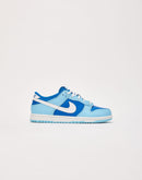 Nike Dunk Low Retro QS Pre-School