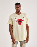 Nike Chicago Bulls Logo Tee