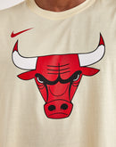 Nike Chicago Bulls Logo Tee