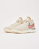 Nike Zoom LeBron NXXT Gen