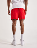 Nike Swim Lap Volley Shorts