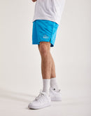 Nike Swim Lap Volley Shorts