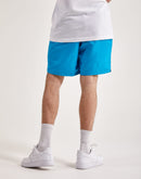 Nike Swim Lap Volley Shorts