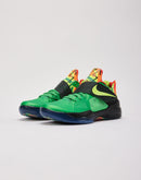 Nike KD 4 'Weatherman'