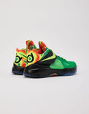 Nike KD 4 'Weatherman'