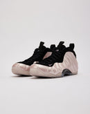 Nike Air Foamposite One 'DMV'