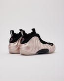 Nike Air Foamposite One 'DMV'