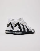 Nike Air DT Max '96 'Colorado Away' Grade-School