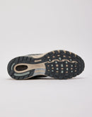 Nike Air Pegasus 2005