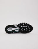 Nike Air Pegasus 2005