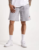 The North Face Coordinates Shorts