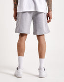 The North Face Coordinates Shorts