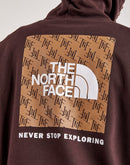 The North Face Never Stop Exploring Hoodie