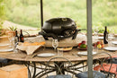 TravelQ™ PRO285 Portable Propane Gas Grill, Black