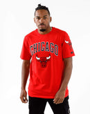 Pro Standard Nba Chicago Bulls Stacked Logo Tee