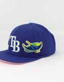 Pro Standard MLB TAMPA BAY RAYS STACKED LOGO SNAPBACK