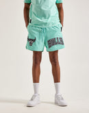 Pro Standard Chicago Bulls Shorts