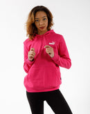 Puma ESSENTIALS SMALL LOGO PRIDE HOODIE