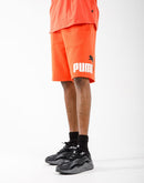 Puma Big Fleece Logo Shorts