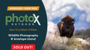 PhotoX Wildlife Photography with Beyond the Wild