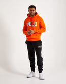 Polo Ralph Lauren Fleece Logo Hoodie