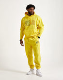 Polo Ralph Lauren Fleece Logo Hoodie