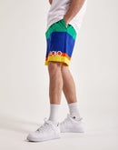 Polo Ralph Lauren Striped Fleece Shorts