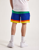 Polo Ralph Lauren Striped Fleece Shorts