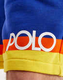 Polo Ralph Lauren Striped Fleece Shorts