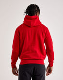 Polo Ralph Lauren Plaid Pony Hoodie