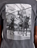 Popular Demand Dobermanns Tee