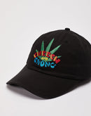 Premium Garage Cover Art Dad Hat