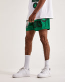 Pro Standard Boston Celtics Shorts