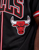Pro Standard Chicago Bulls Mesh Button-Down Jersey