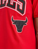 Pro Standard Chicago Bulls Tee