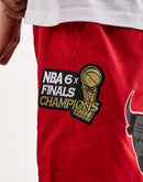 Pro Standard Chicago Bulls Shorts