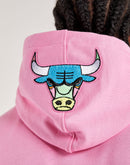 Pro Standard Chicago Bulls Fleece Hoodie